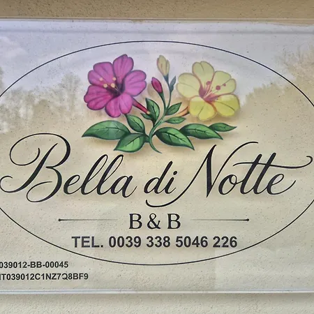 Bella Di Notte Lugo (Ravenna)