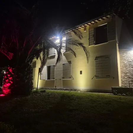 Bella Di Notte